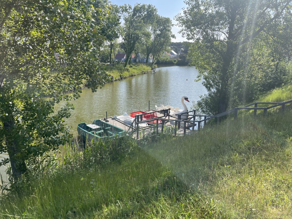 Gartenanlage Center Parcs Park Zandvoort - Ferienhäuser