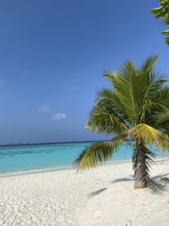 Strand ROBINSON NOONU