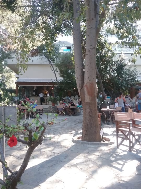 Gartenanlage Apollonia Beach Resort & Spa