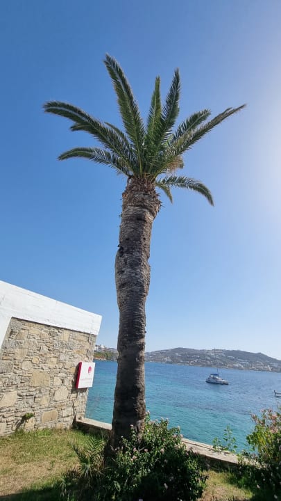 Gartenanlage Mykonos Theoxenia, a member of Design Hotels