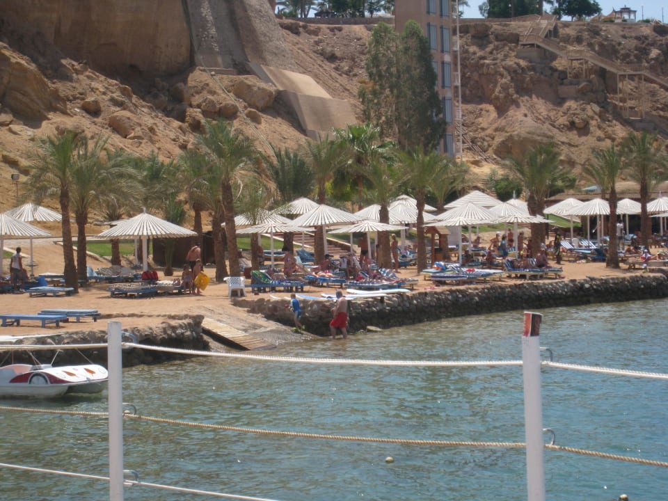 Widok z pomostu Pickalbatros Aqua Blu Resort - Sharm El Sheikh