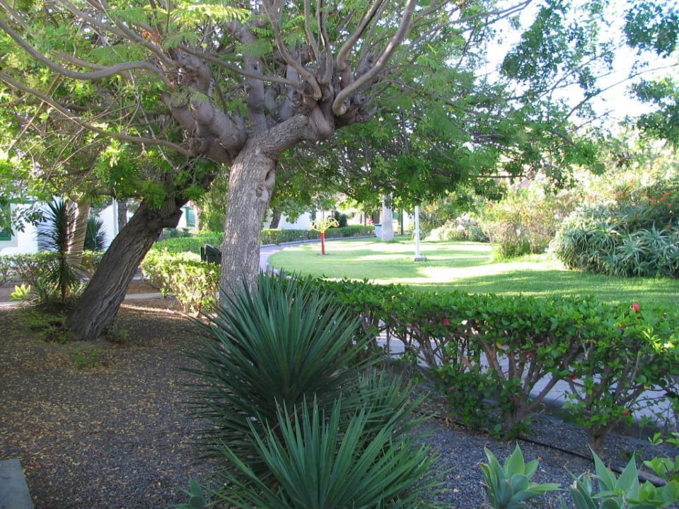 Rund um den Bungalow Bungalows Cordial Sandy Golf