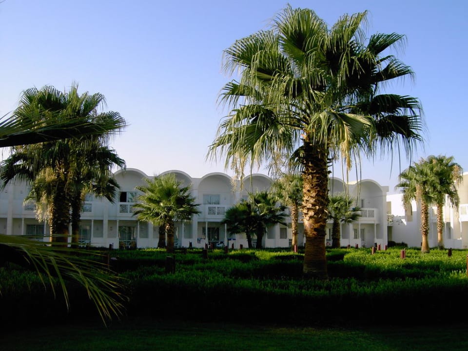 Sehr grün angelegt Reef Oasis Beach Resort