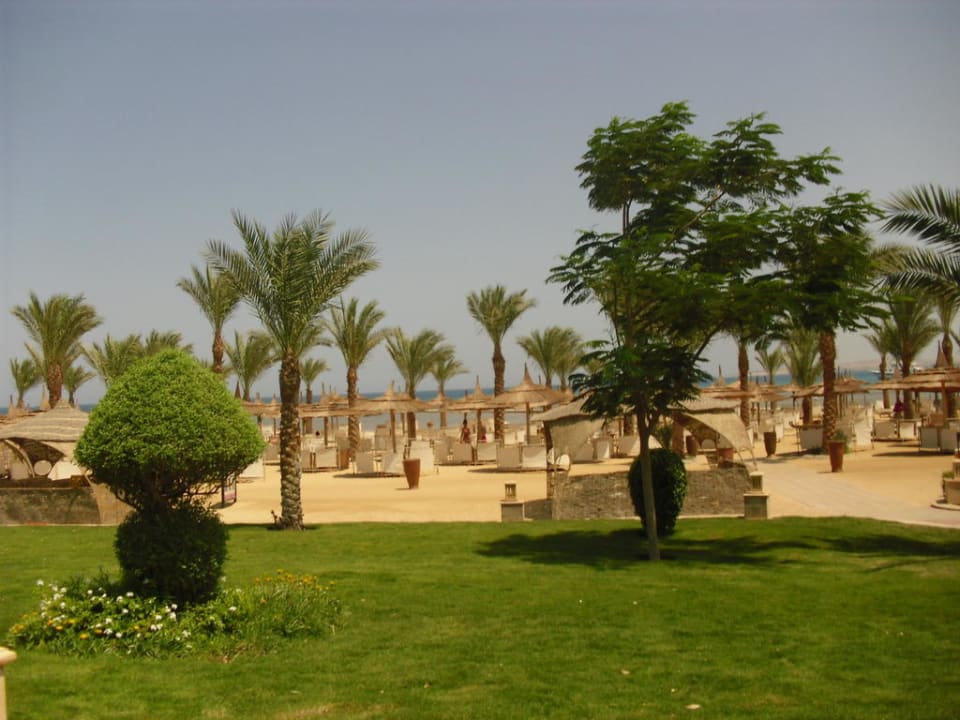 Strand mit Gartenanlage Pickalbatros Palace Resort