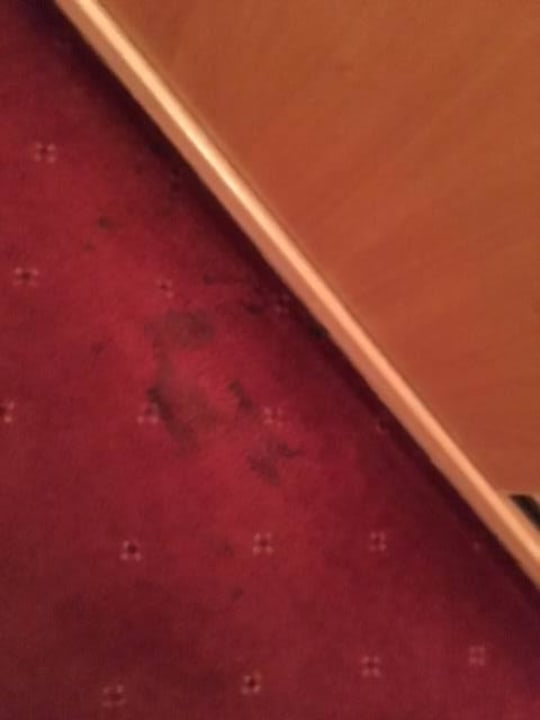 Verschmutzter Teppich Erlebnishotel Fendels