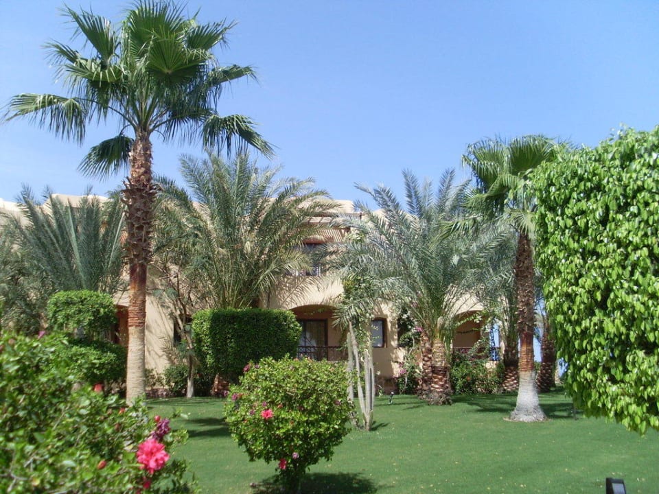 Anlage Steigenberger Coraya Beach - Adults only