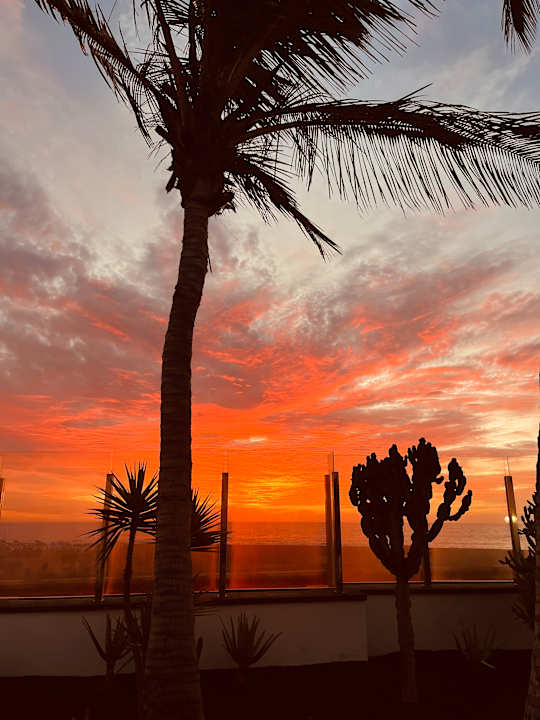 Ausblick Hotel Las Costas