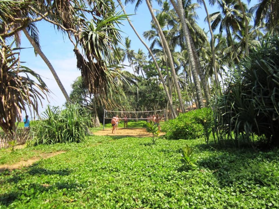 Beachvolleyball-Feld im Garten Tangerine Beach Hotel