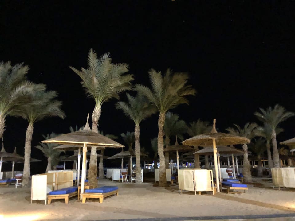 Außenansicht Beach Albatros Resort