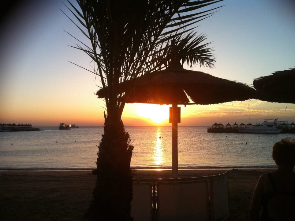 Sonnenaufgang einfach toll Beach Albatros Resort