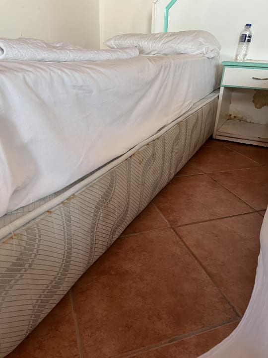 Zimmer Cinar Family Suite Hotel