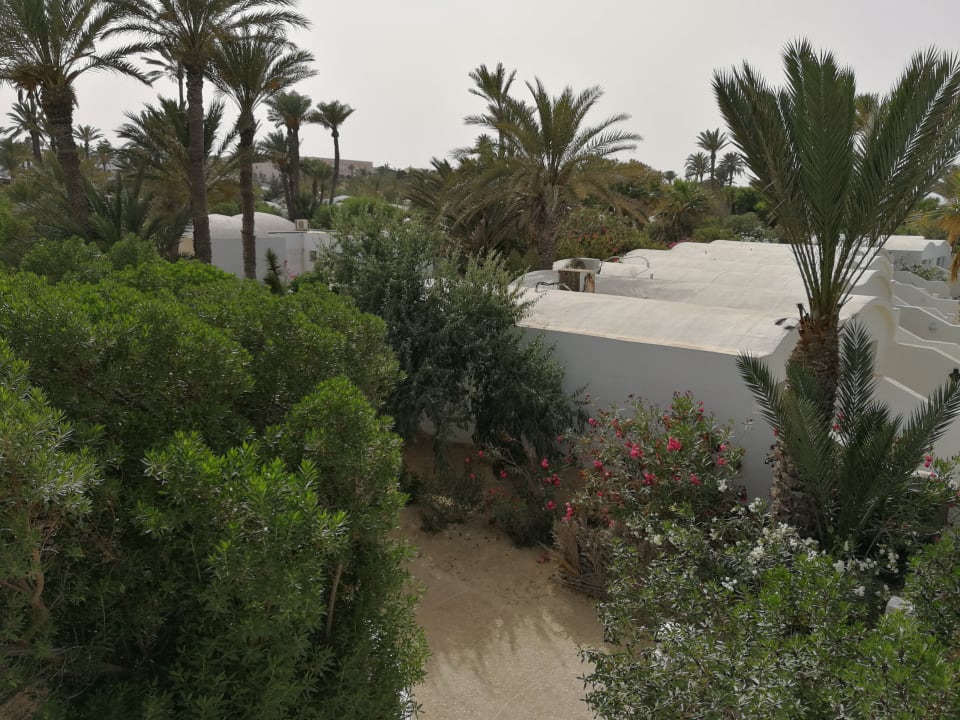 Gartenanlage Hotel Sangho Club Zarzis