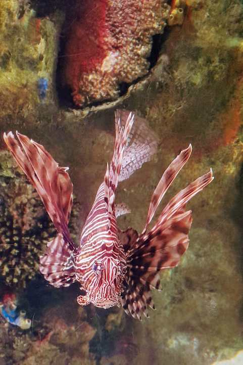 Sonstiges Saturn Palace Resort Hotel