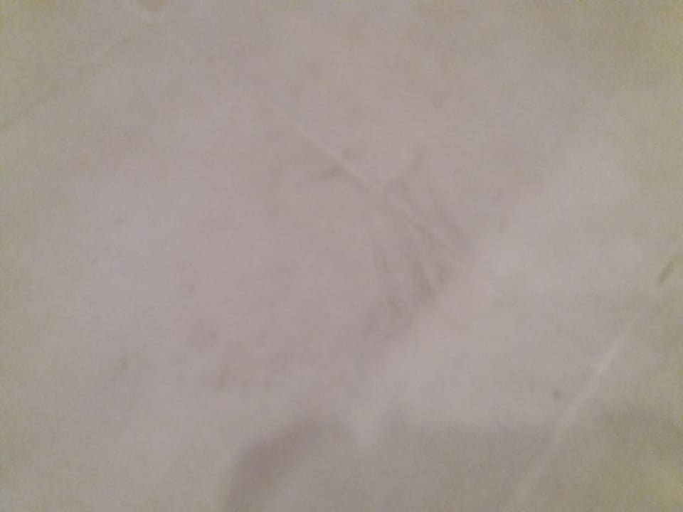 Zimmer Odessos Park Hotel