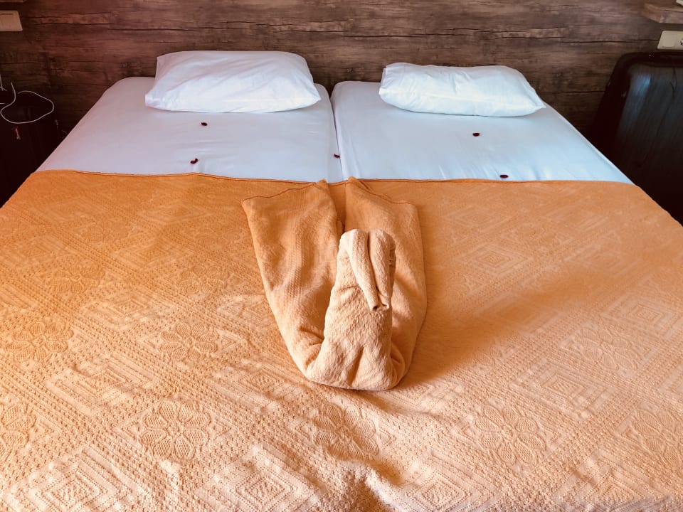 Zimmer Sayanora Hotel