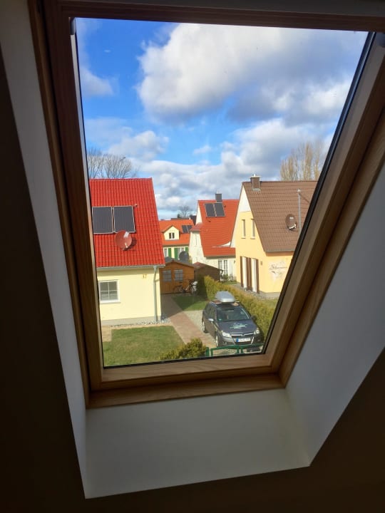 Ausblick Ferienhaus Kranich
