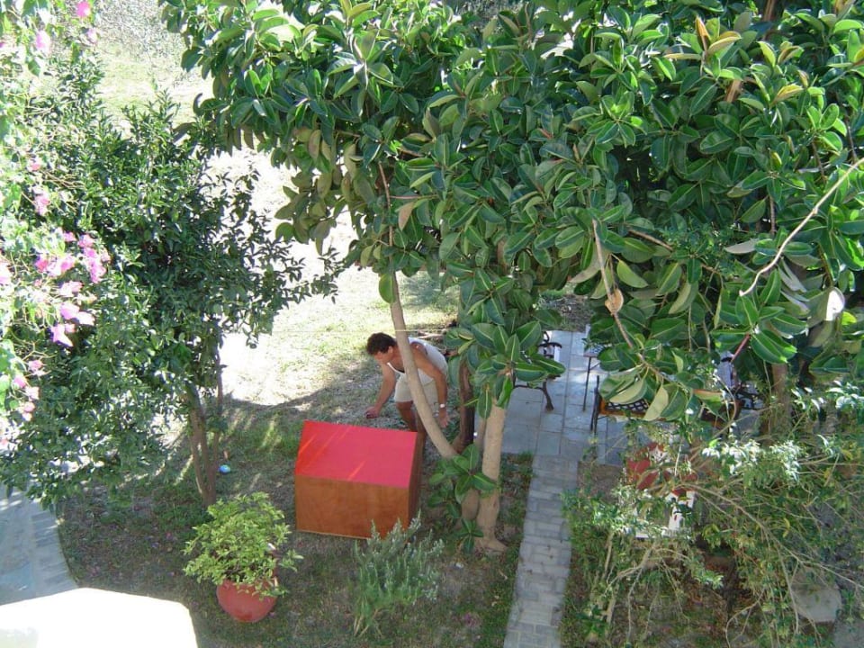 Garten und Chef vom Hotel Castello, Plakias Castello Apartments