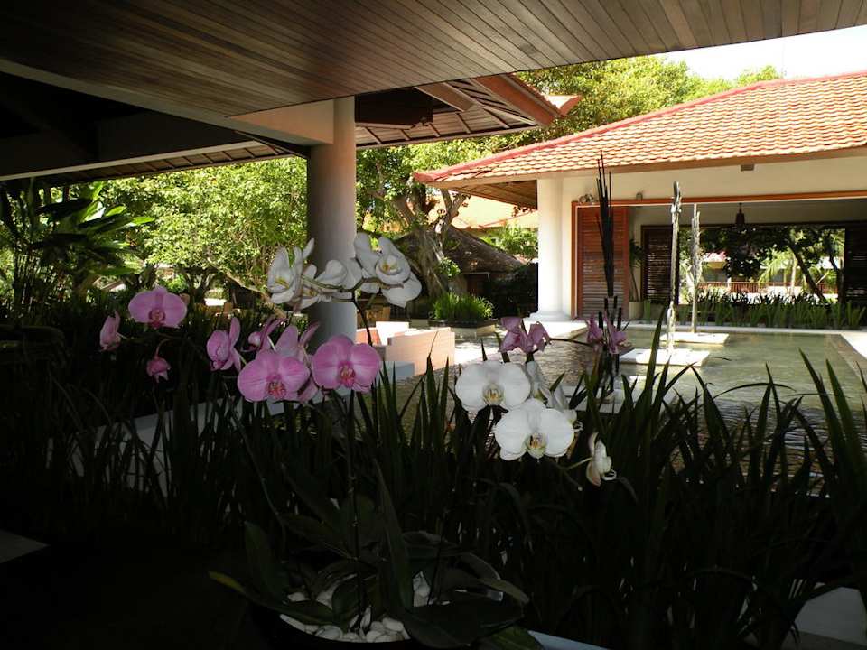 Aussenanlage The Laguna A Luxury Collection Resort & Spa