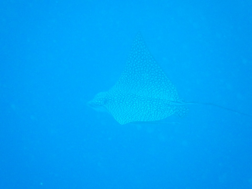 Strand Bliss Nada Beach Resort