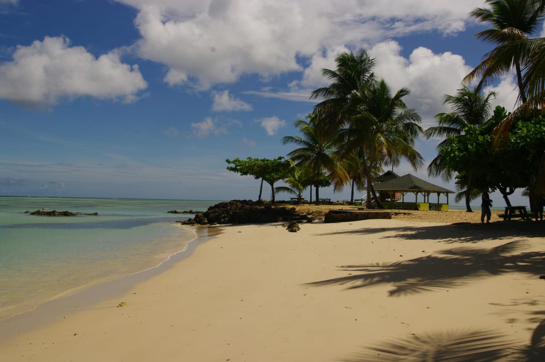 Karibik Strand Am Pidgeon Magdalena Grand Beach Resort Carnbee