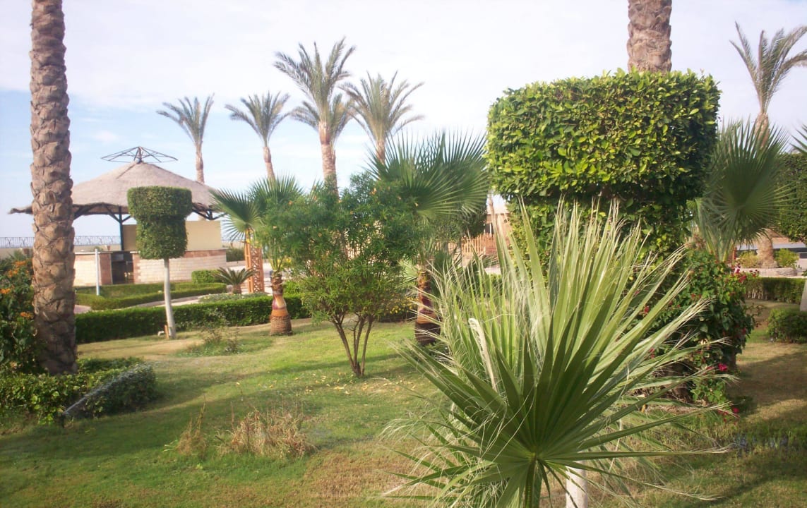 Сад Riviera Aqua Park Resort