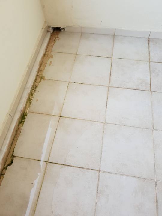 Zimmer Side Miami Beach