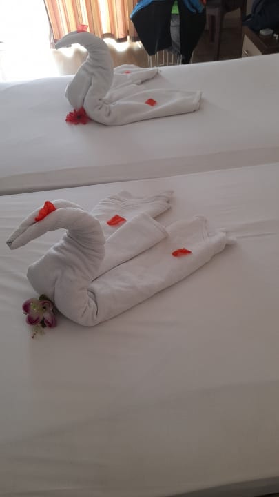 Zimmer Side Alegria Hotel & Spa - Adults only +16