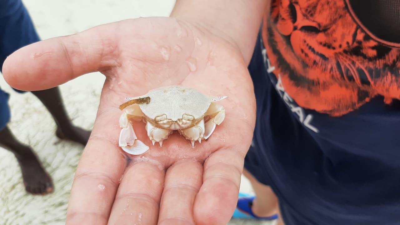 Sonstiges Neptune Palm Beach Boutique Resort & Spa