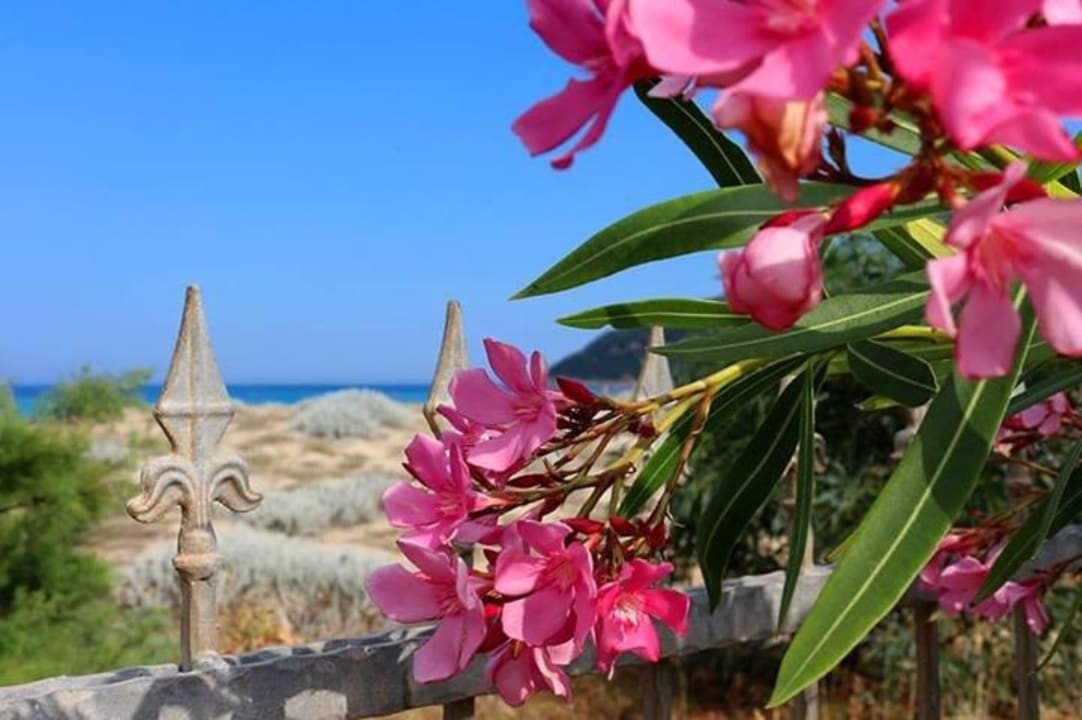 So schööön!!! Hotel Garden Beach Cala Sinzias