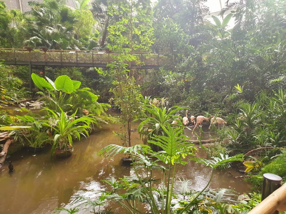 Gartenanlage Tropical Islands Resort