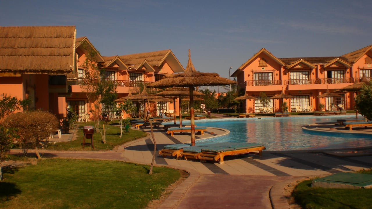 Unser eigener Pool vom Zimmer Pickalbatros Jungle Aqua Park Resort - Neverland Hurghada