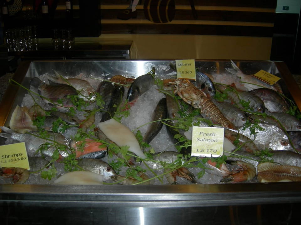 Meersfrüchte Giftun Azur Resort