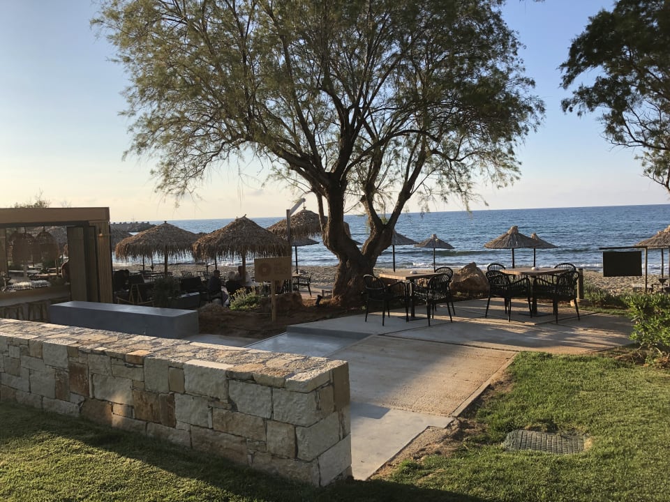 Gastro Phãea Cretan Malia