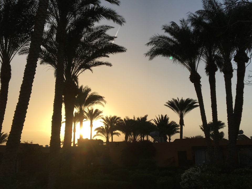 Ausblick Giftun Azur Resort