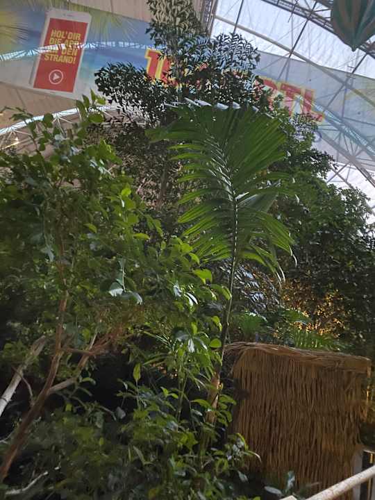 Gartenanlage Tropical Islands Resort