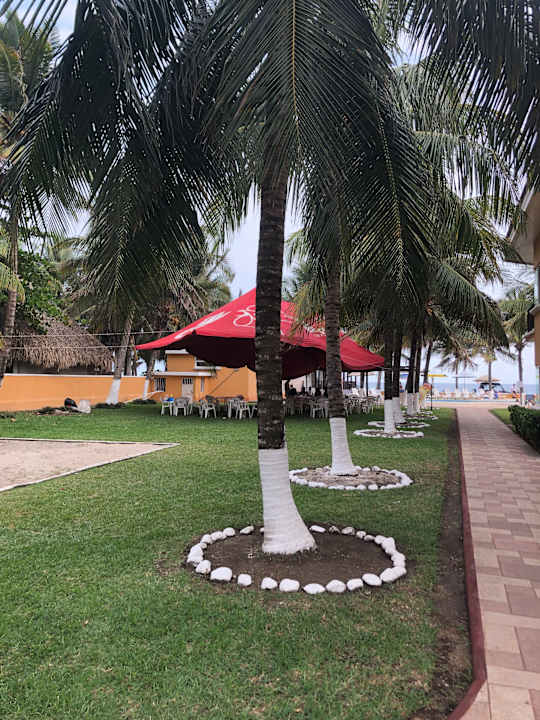 Gartenanlage Hotel Cayman Suites