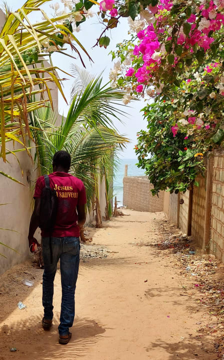 Sonstiges Royal Horizons Baobab