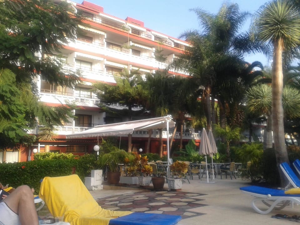 Liegen am Pool Apartamentos Masaru