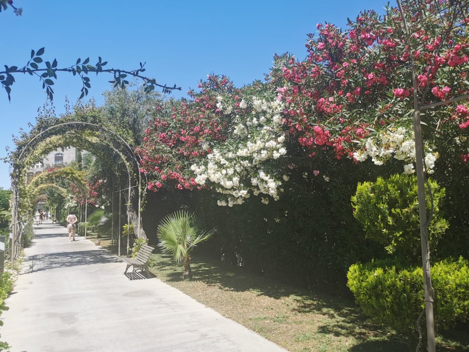 Gartenanlage Melas Lara Hotel