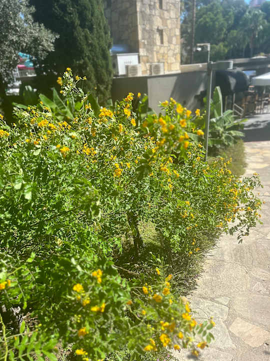 Gartenanlage Barut Hemera