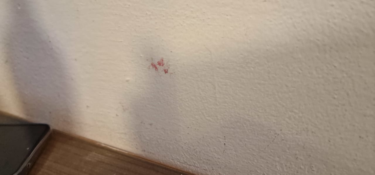 Zimmer Hotel Miramare