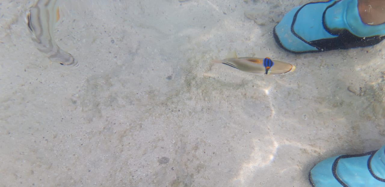 Strand Lazuli Hotel Marsa Alam