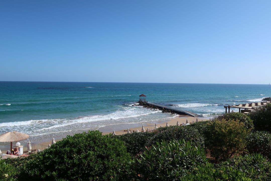 Ausblick Alexander Beach Hotel & Village Resort