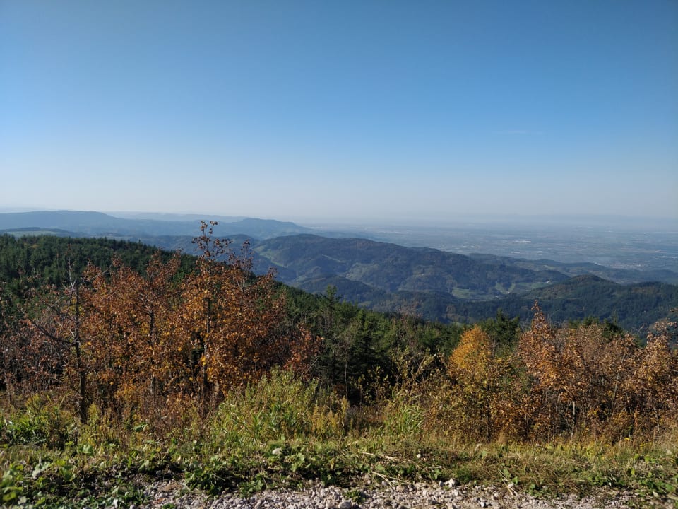 Ausblick Berghotel Mummelsee