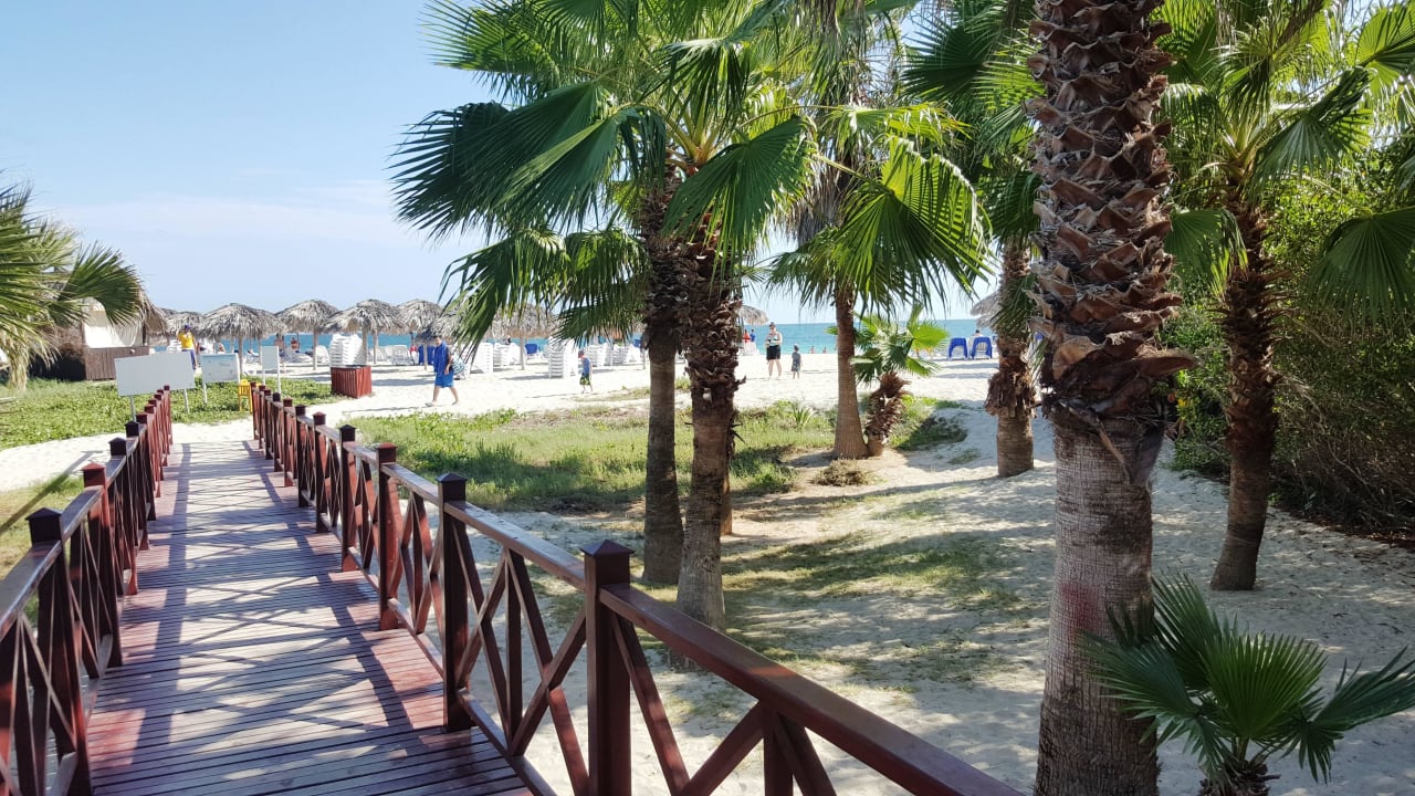 Weg zum Strand Iberostar Origin Laguna Azul