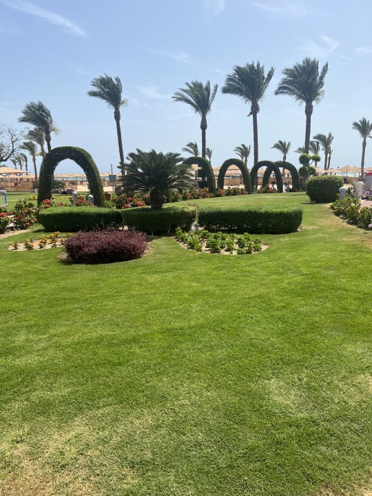 Gartenanlage Pickalbatros Palace Resort