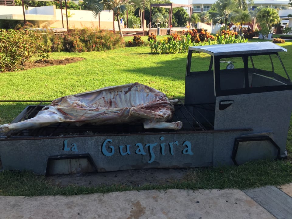 Gastro Playa Vista Azul