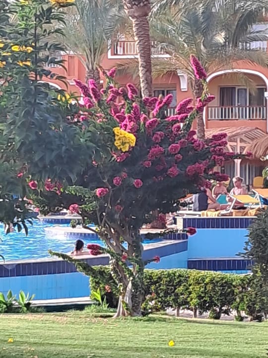 Pool Sentido Caribbean World Soma Bay