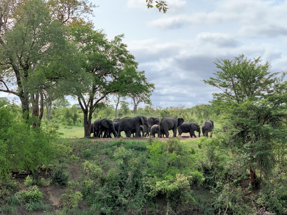 Ausblick Hotel Imbali Safari Lodge