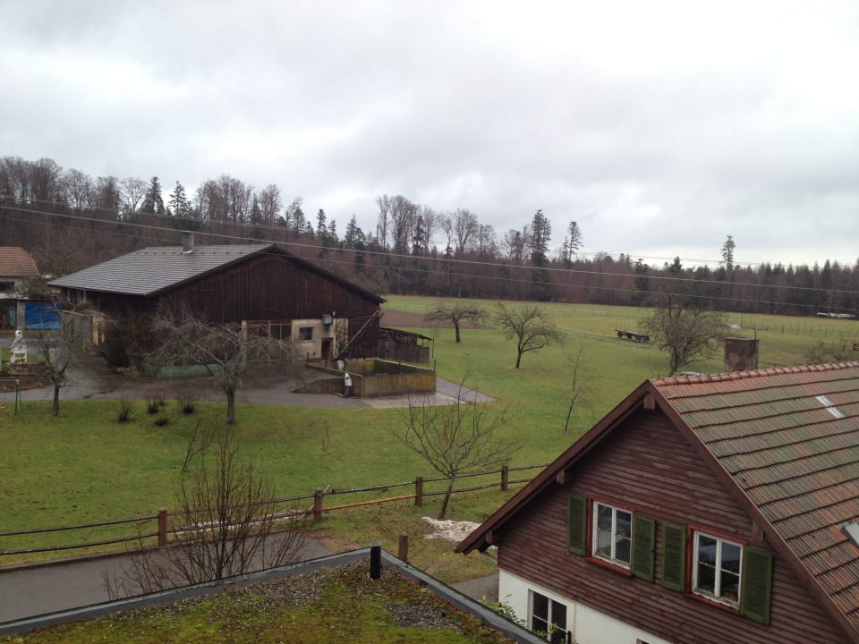 Ausblick Balkon Hotel Schwanen